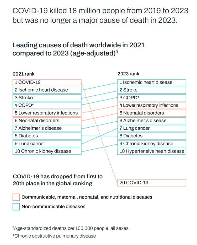 561358950 826503513058205 4764792050795441973 n