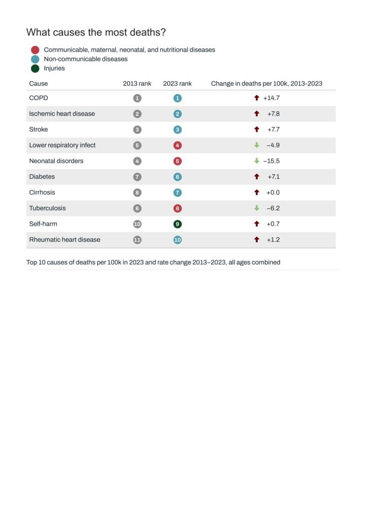 Global Burden of Disease (GBD) 2023 Country Profile: Nepal 10 Nepal Institute for Health Metrics and Evaluation 07